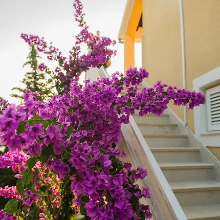 Villa Botanica Rogoznica  Zewnętrze zdjęcie