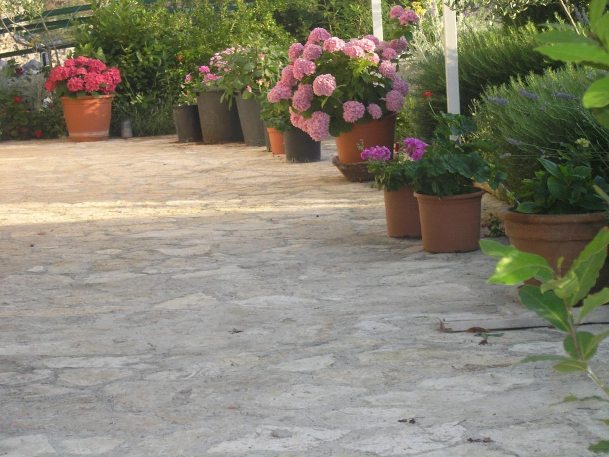 Apartment Botanica